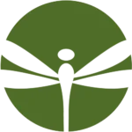 holistic trauma therapy & wellness