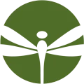 holistic trauma therapy & wellness